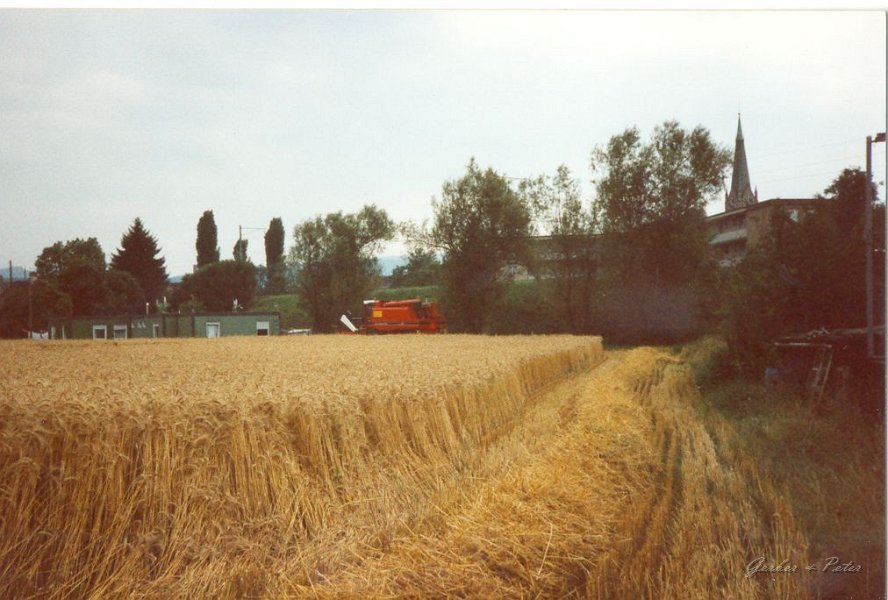 International Harvester 1660 25